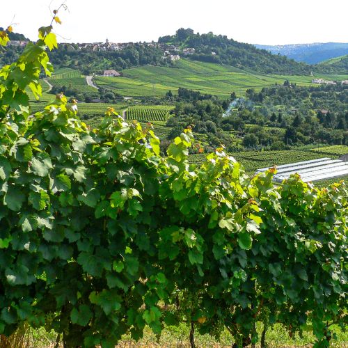 Regionen | Hotel Adler Asperg bei Ludwigsburg