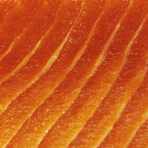 Rezept des Monats: Gebeizter Lachs