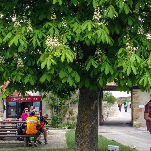 schubart_stube_1_2000x0n.jpg