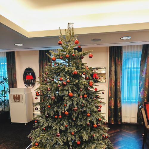 Christbaum im Hotel Adler Asperg