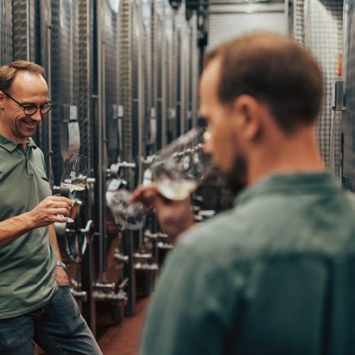 Die Aldinger-Brüder im Weinkeller