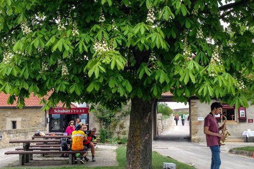 Biergarten der Schubart Stube